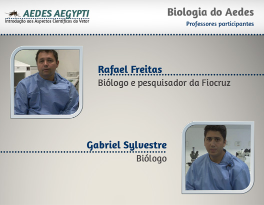 02_biologia_aedes